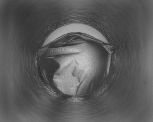 X0000082950664200702222315