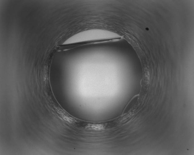 X0000082950665200702222315