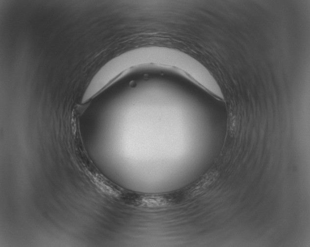 X0000082950666200702222315