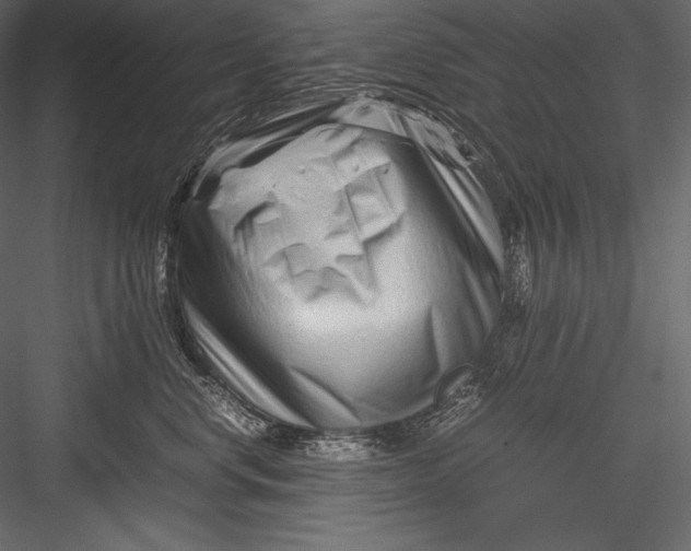 X0000082950668200702222315