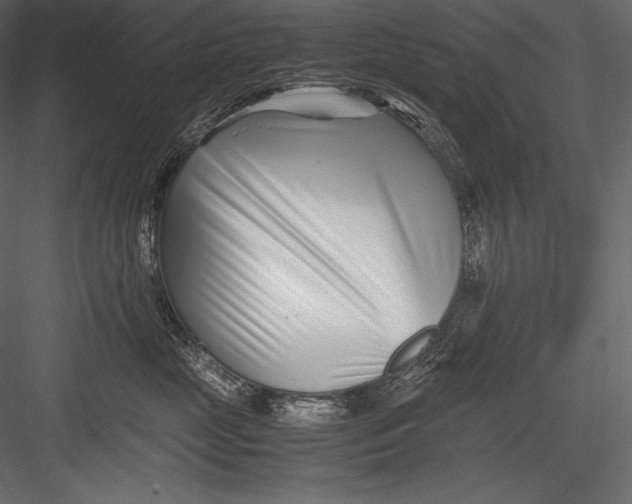 X0000082950669200702222315