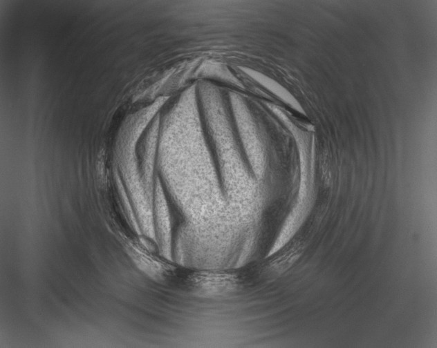 X0000082950670200702222315