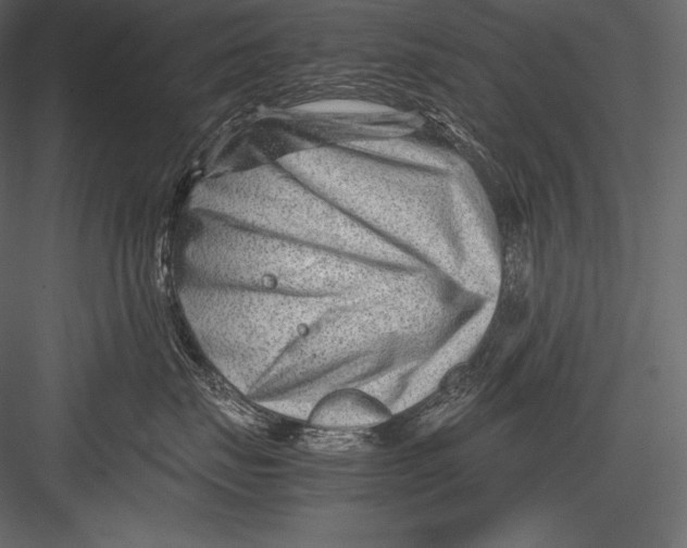 X0000082950671200702222315