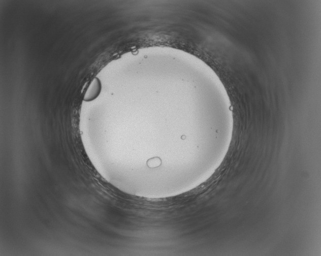 X0000082950672200702222315