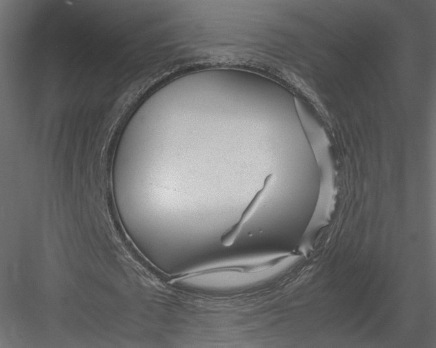 X0000082950673200702222314