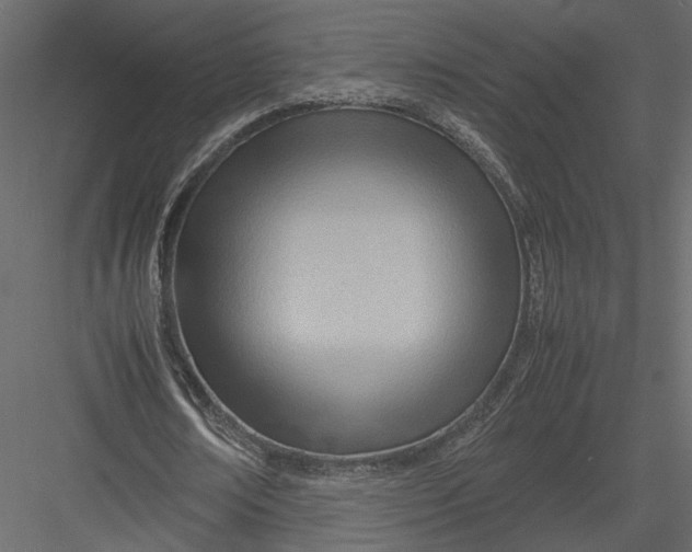 X0000082950674200702222314