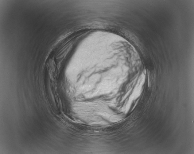 X0000082950675200702222314