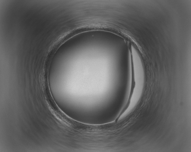 X0000082950677200702222314