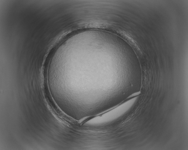 X0000082950678200702222314