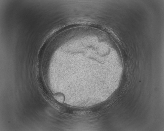 X0000082950679200702222314