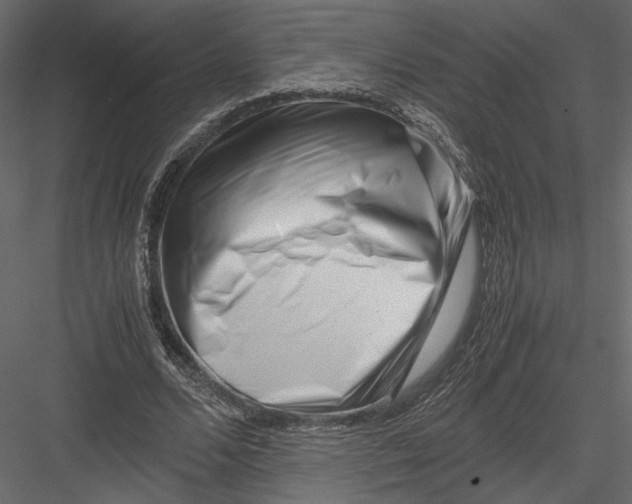 X0000082950680200702222314