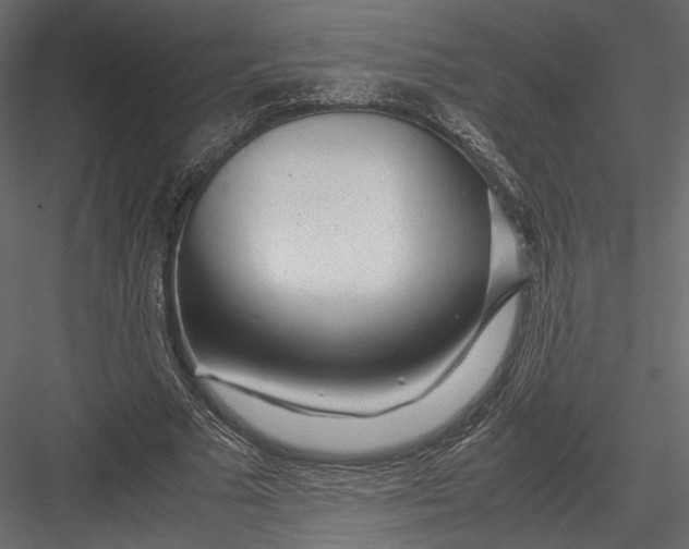 X0000082950681200702222314