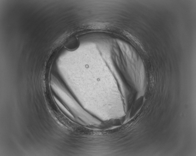 X0000082950682200702222314