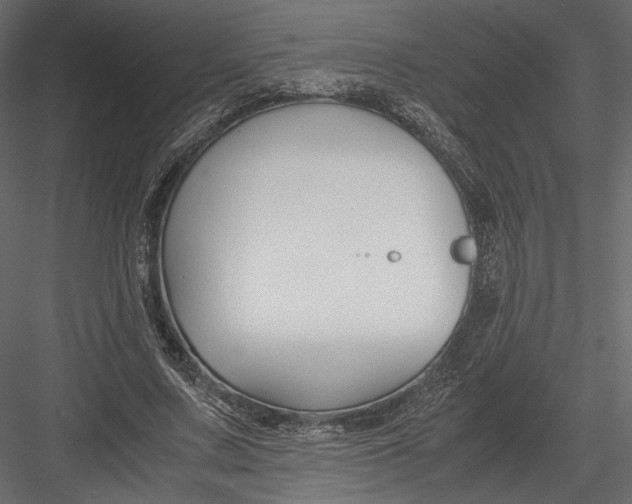 X0000082950683200702222314