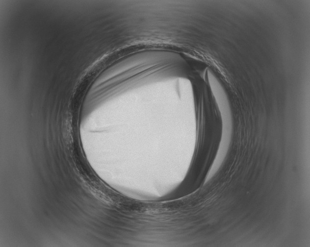 X0000082950684200702222314