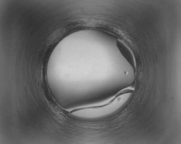 X0000082950685200702222314