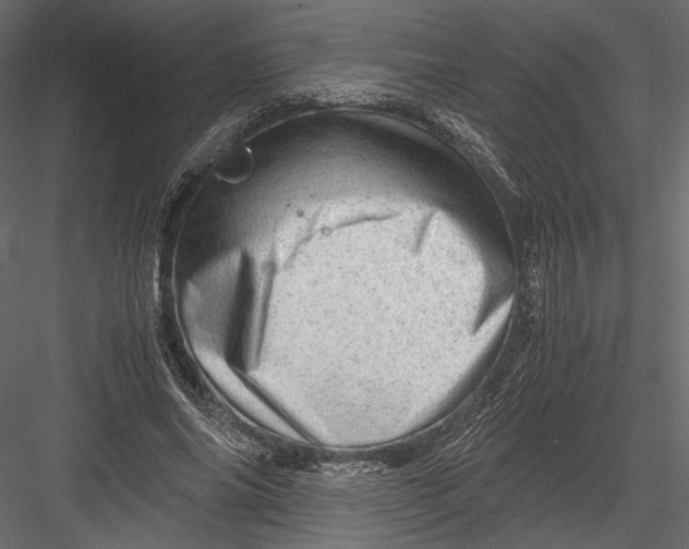 X0000082950686200702222314