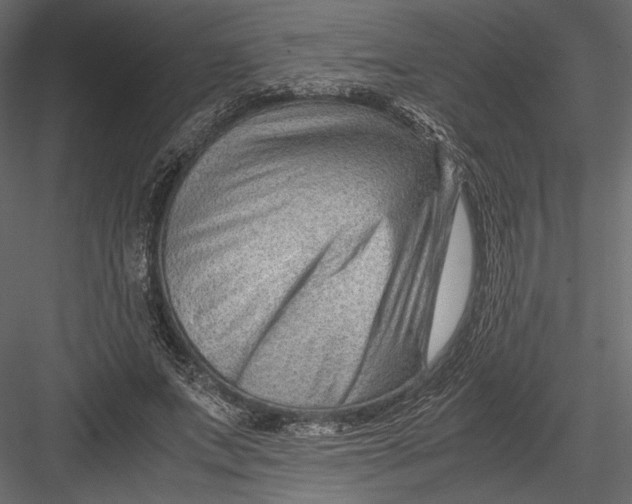 X0000082950687200702222314