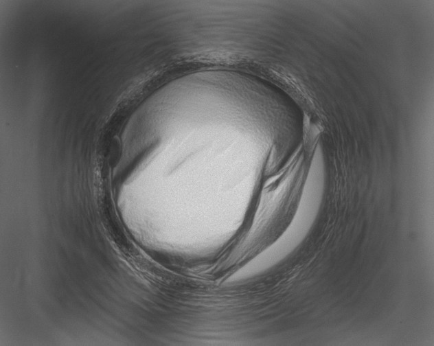 X0000082950688200702222314