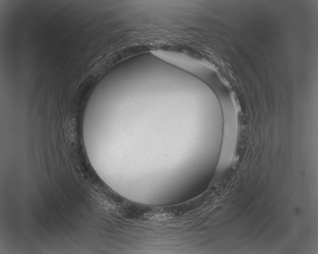 X0000082950689200702222314