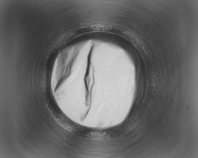 X0000082950690200702222314