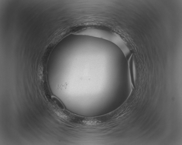 X0000082950693200702222314