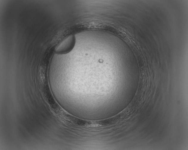 X0000082950695200702222314