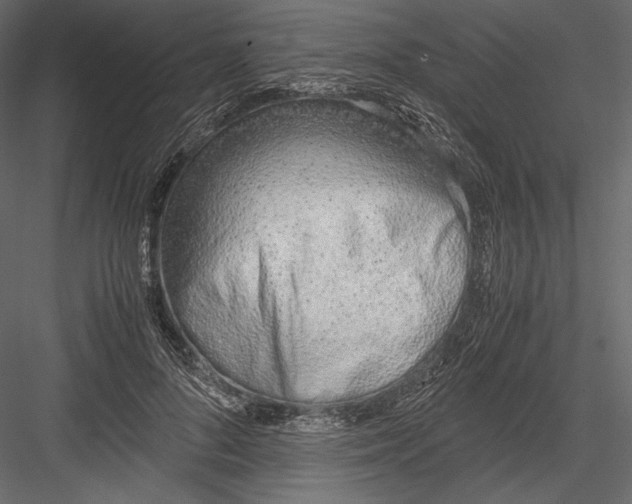 X0000082950696200702222314