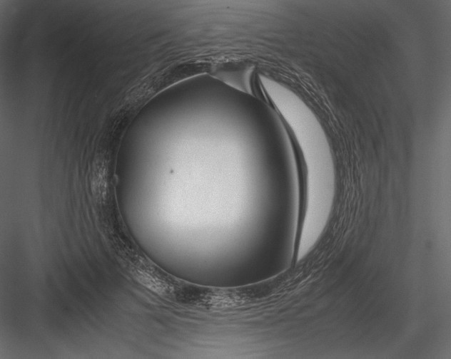 X0000082950697200702222314