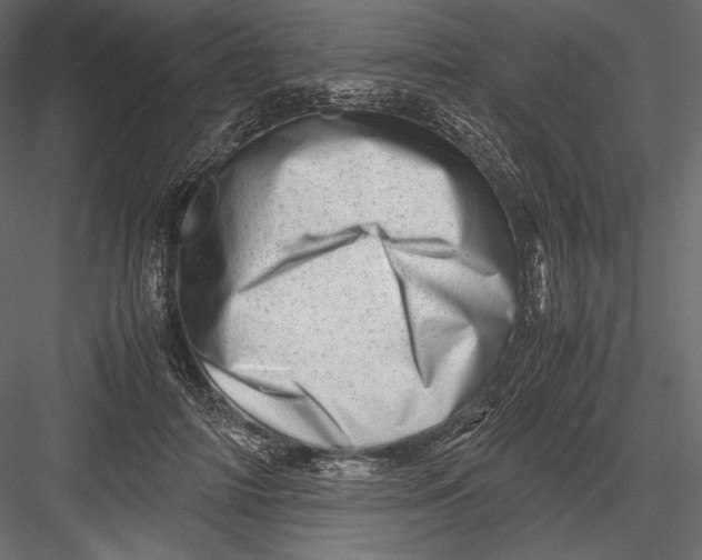 X0000082950698200702222314