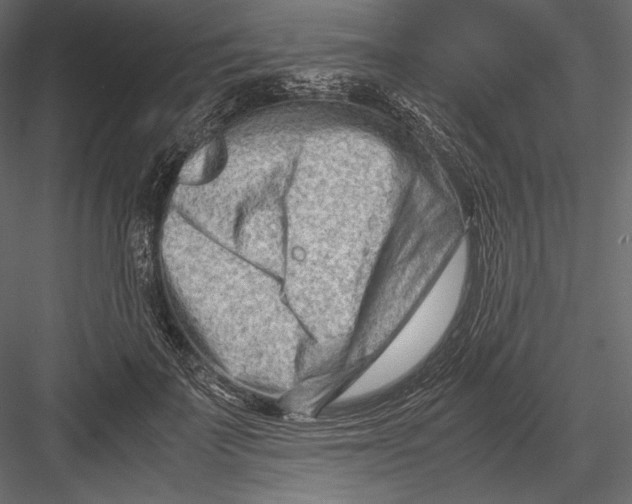 X0000082950699200702222314