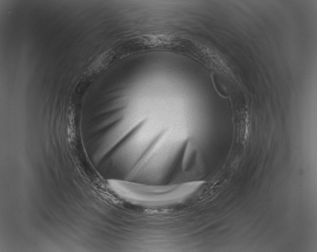 X0000082950700200702222314