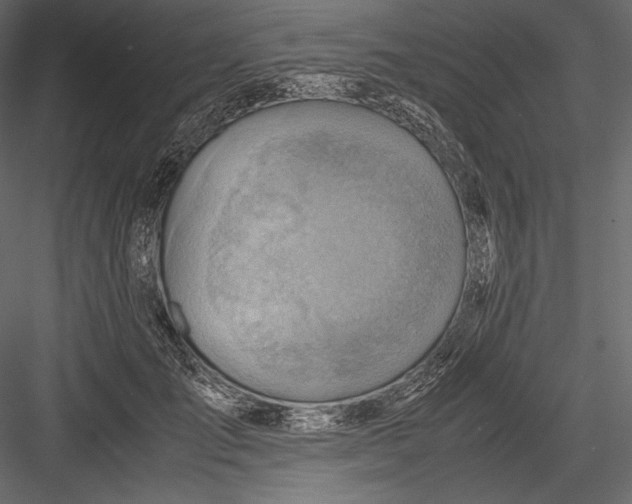 X0000082950701200702222314