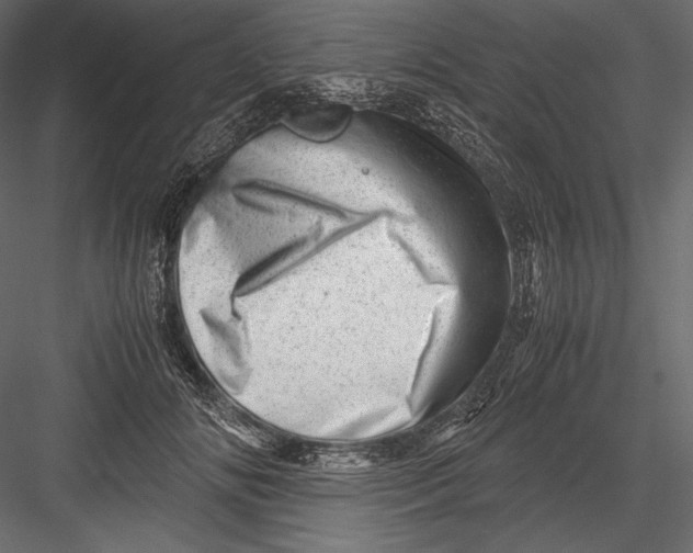 X0000082950702200702222314