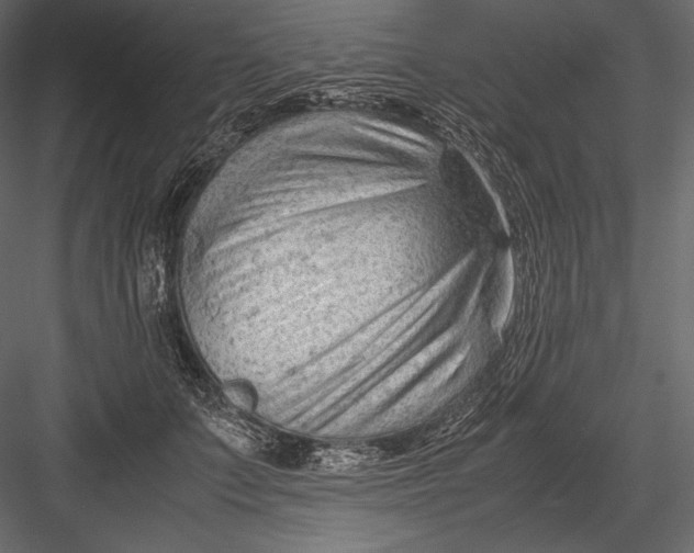 X0000082950703200702222314