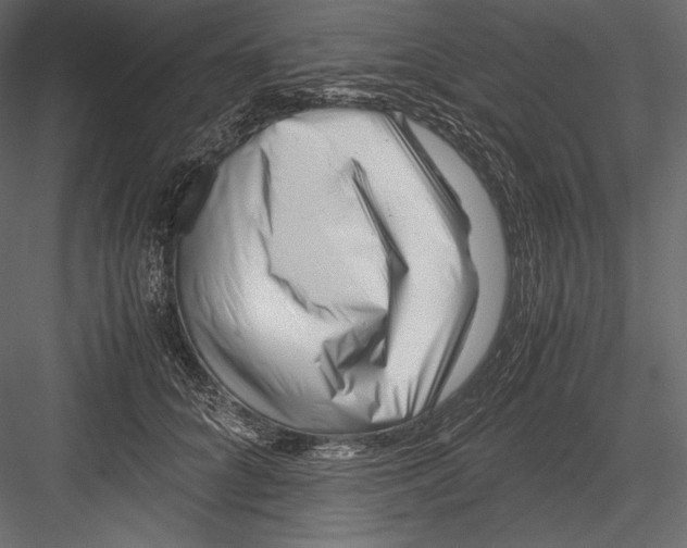 X0000082950704200702222313