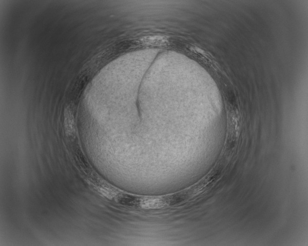 X0000082950705200702222313