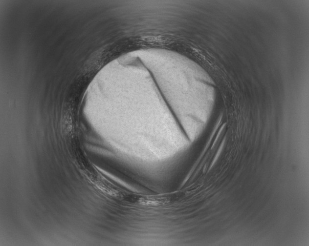 X0000082950706200702222313