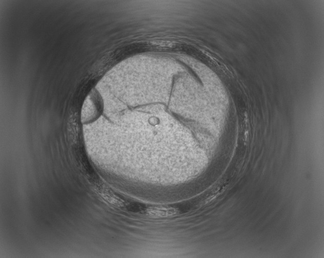 X0000082950707200702222313