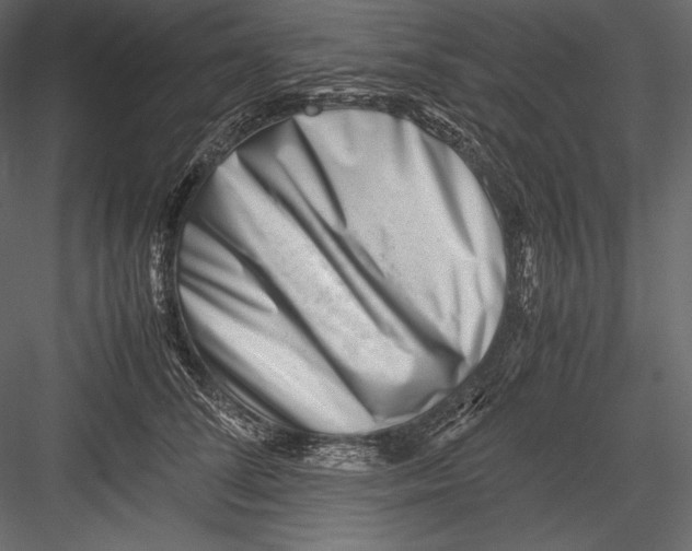 X0000082950708200702222313