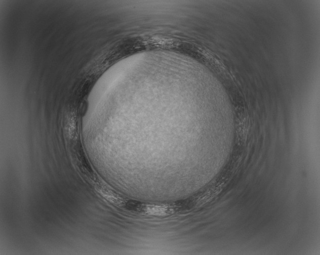 X0000082950709200702222313