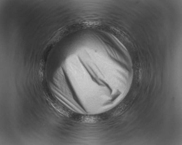 X0000082950710200702222313