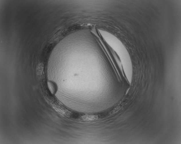 X0000082950711200702222313