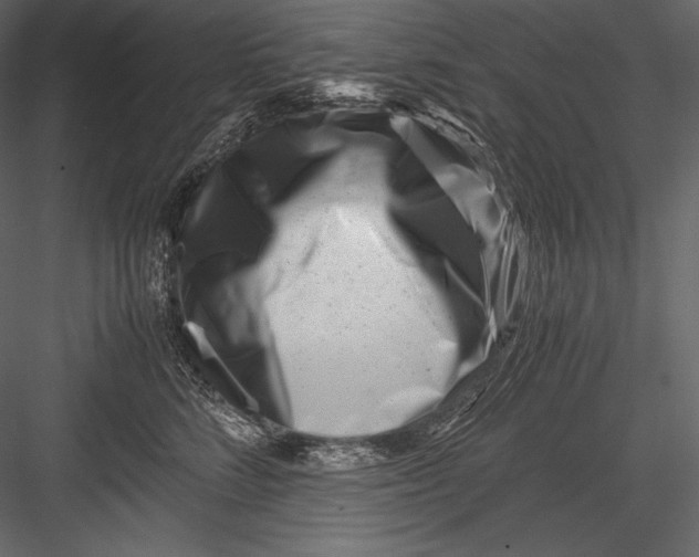 X0000082950712200702222313