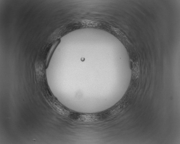 X0000082950713200702222313