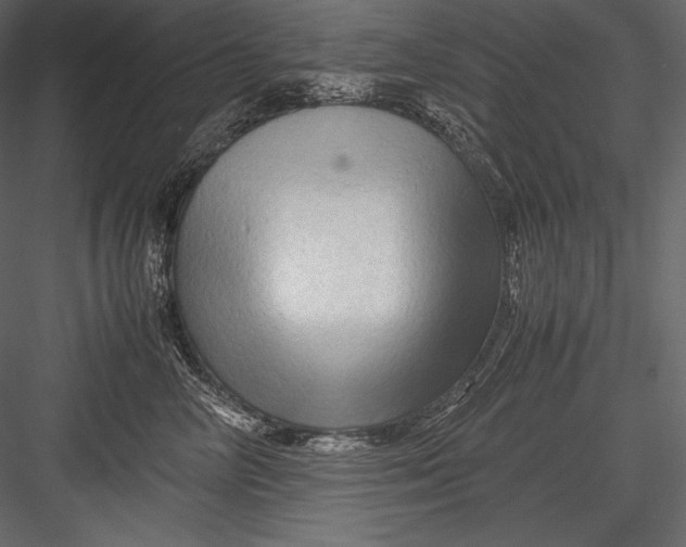 X0000082950714200702222313