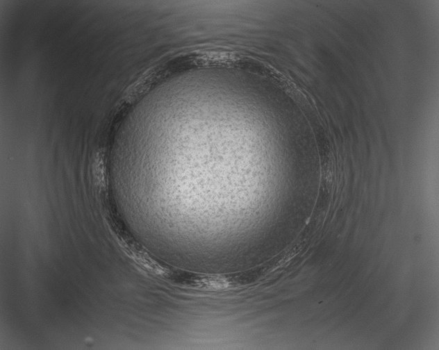 X0000082950715200702222313