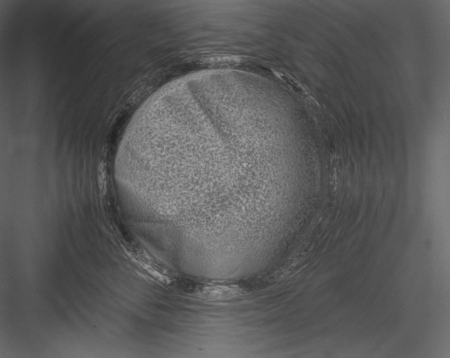 X0000082950716200702222313