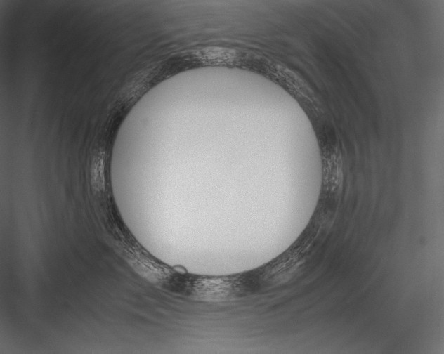 X0000082950717200702222313