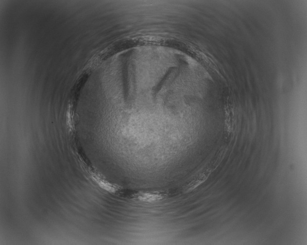 X0000082950718200702222313